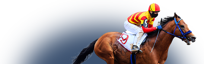Horse Racing Betting Tips